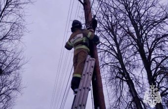 В Тверской области пожарные спасли кота