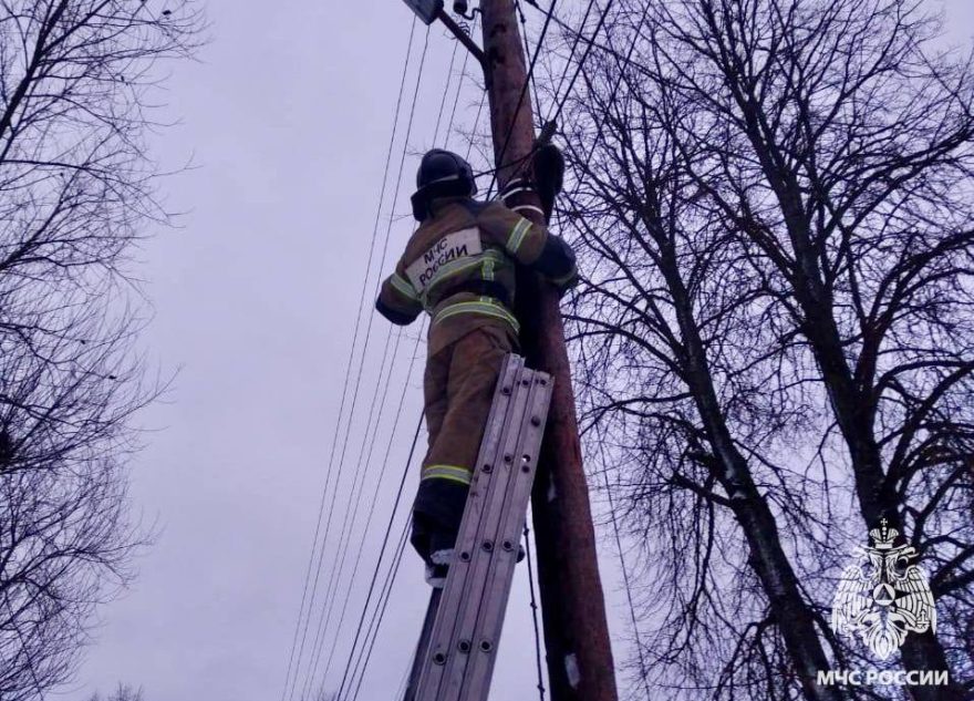 В Тверской области пожарные спасли кота
