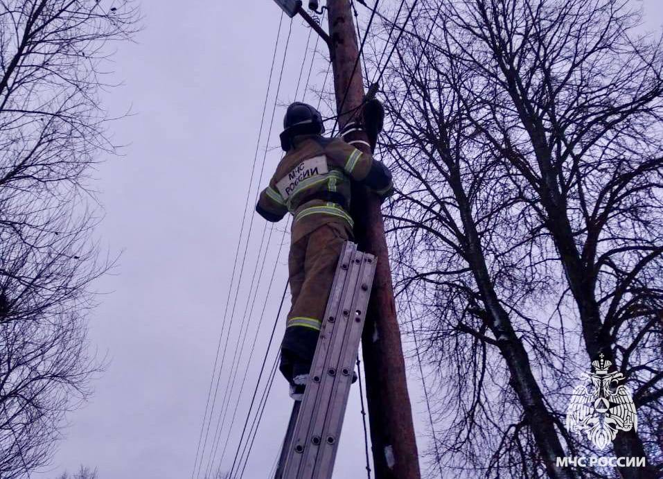 В Тверской области пожарные спасли кота