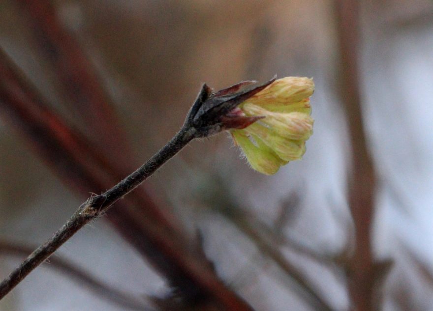 Жители Тверской области в феврале будут собирать урожай
