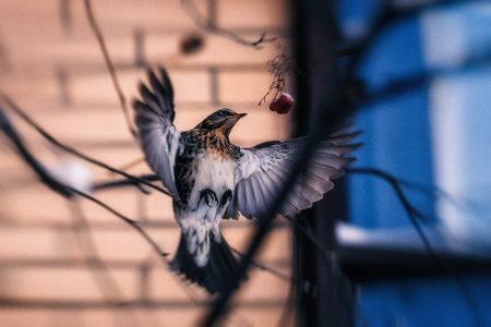 Известный синоптик Роман Вильфанд уточнил прогноз на февраль в Тверской области Известный синоптик Роман Вильфанд уточнил прогноз на февраль в Тверской области