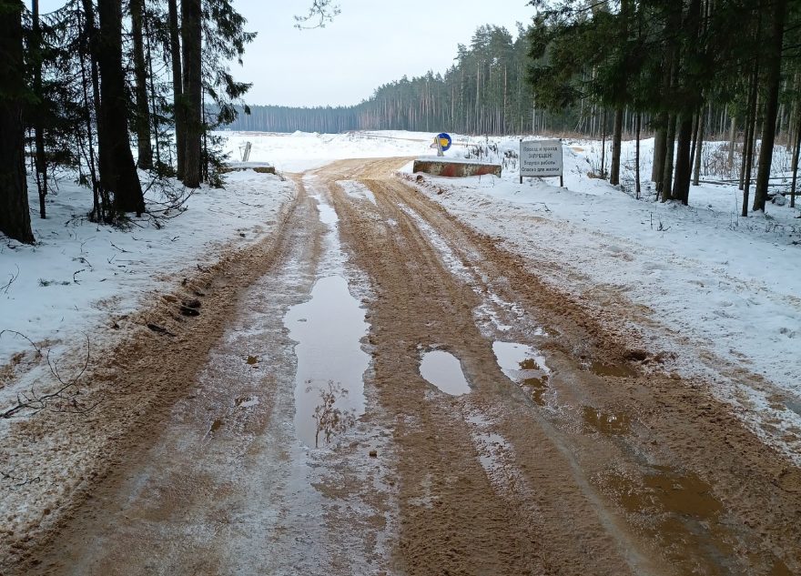 Под Тверью дорогу посыпали в лесу, а не в поселке