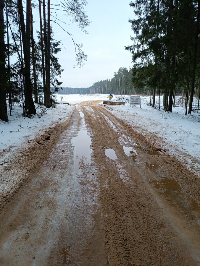 Под Тверью дорогу посыпали в лесу, а не в поселке Под Тверью дорогу посыпали в лесу, а не в поселке
