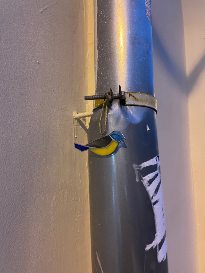 Житель Твери устроил для всех квест по поиску витражных украшений