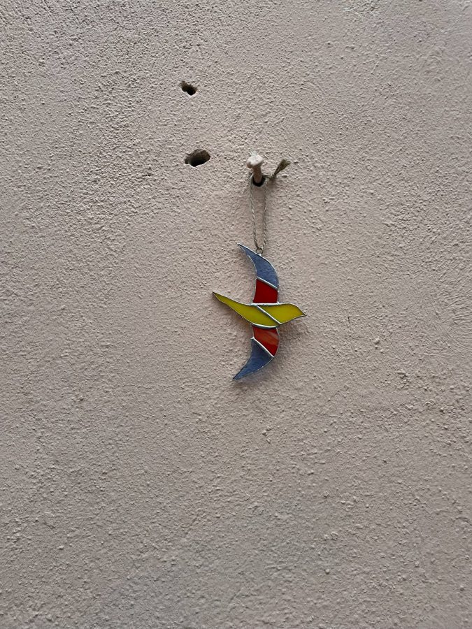 Житель Твери устроил для всех квест по поиску витражных украшений