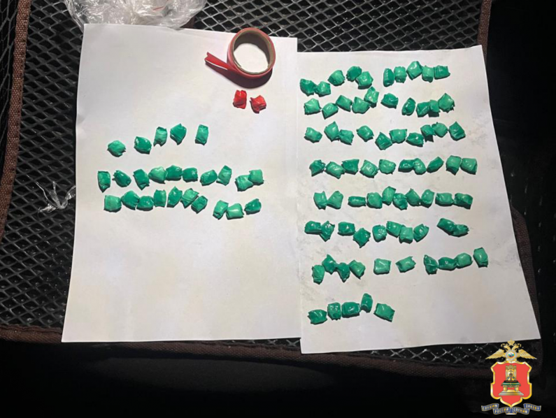 В Тверской области задержали троих мигрантов, перевозивших крупную партию наркотика