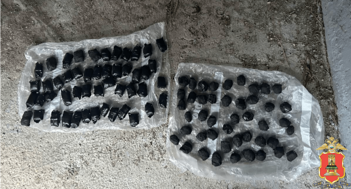 94 свёртка с наркотиками нашли у мужчины и женщины в Тверской области