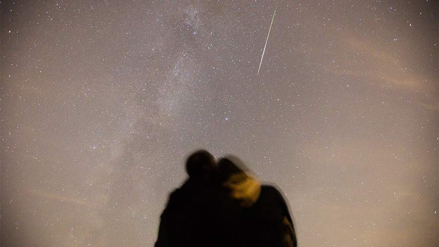 Не родитесь в год Змеи: гороскоп на 2025 год для всех знаков зодиака