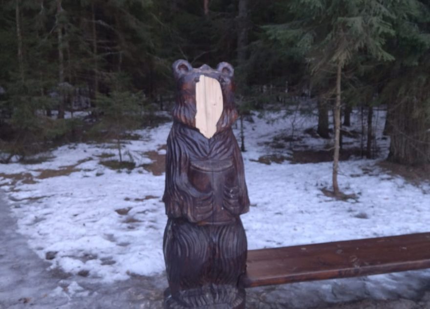 В Тверской области медведю сломали голову