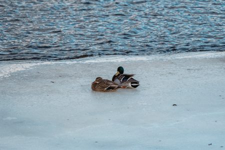 Синоптики дали новый прогноз на февраль в Тверской области Синоптики дали новый прогноз на февраль в Тверской области