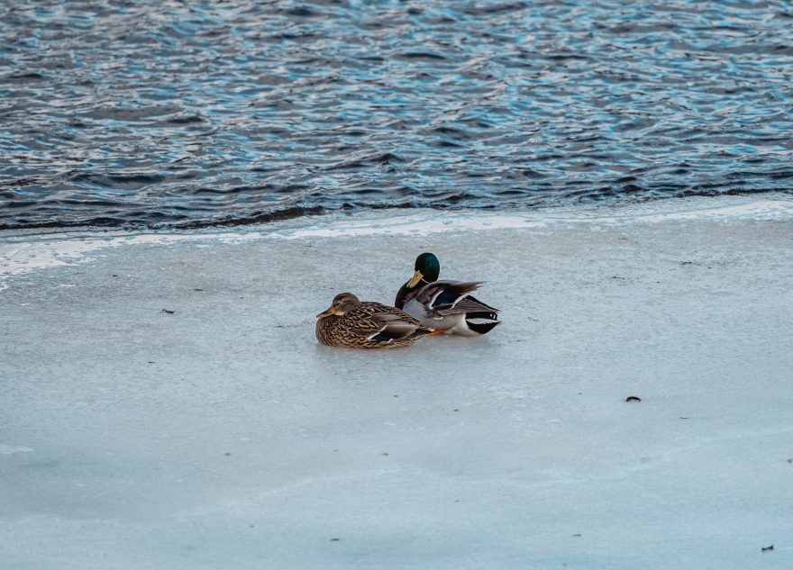 Синоптики дали новый прогноз на февраль в Тверской области
