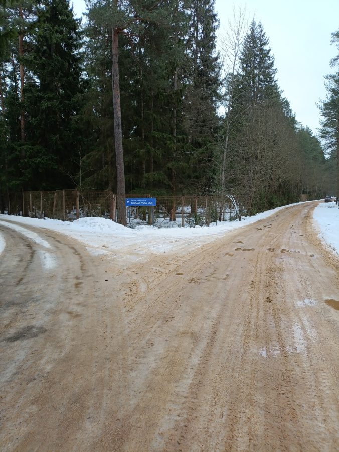 Под Тверью дорогу посыпали в лесу, а не в поселке