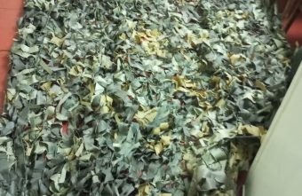 В Тверской области женщины плетут маскировочные сети рекордными темпами