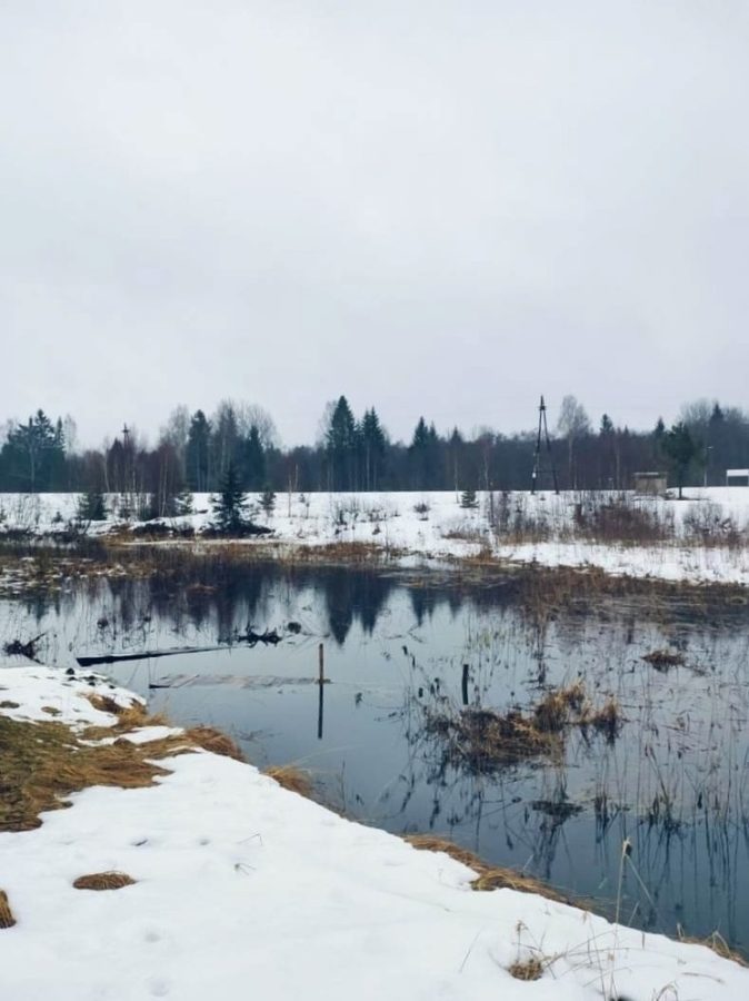 В Андреапольском округе Тверской области бобры усилили январское половодье