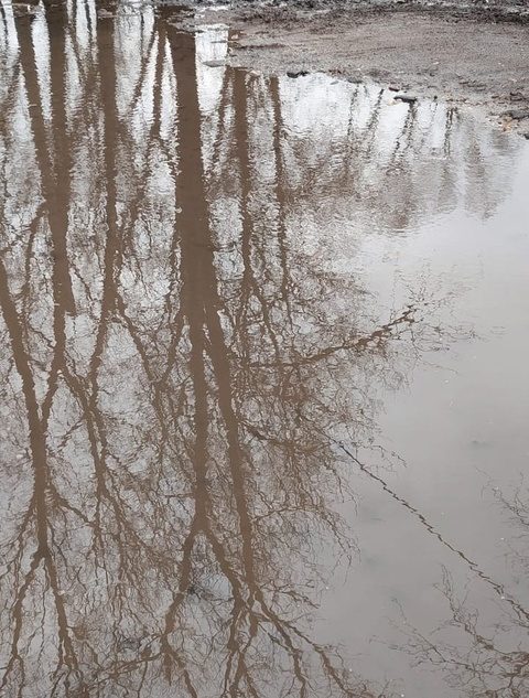 В Тверской области с ноября не чинят прорванную трубу
