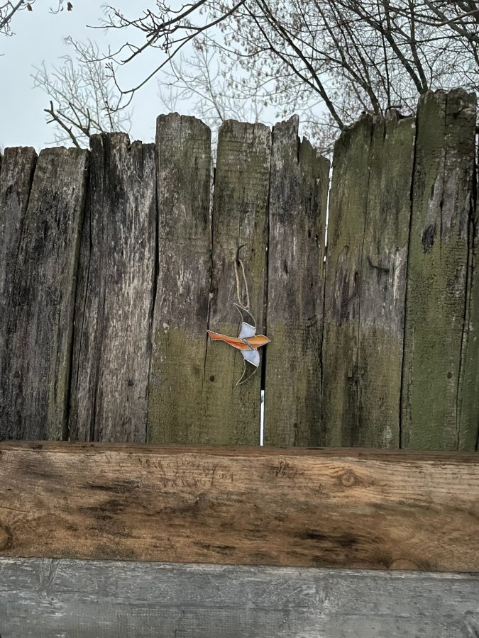 Житель Твери устроил для всех квест по поиску витражных украшений