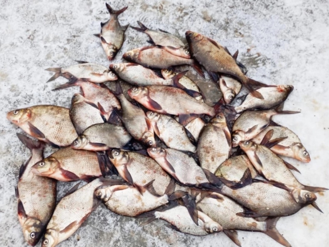 Жители Тверской области рассказали, где находится самое рыбное место