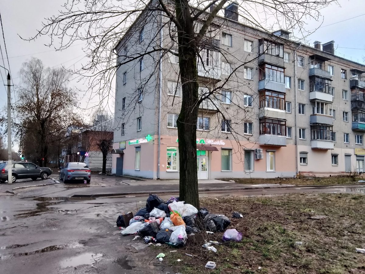 Суровые жители Твери складывают под дерево не подарки, а мусор