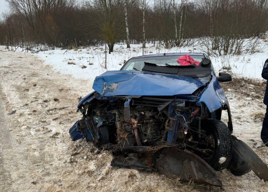 В Тверской области Рено врезался в дерево