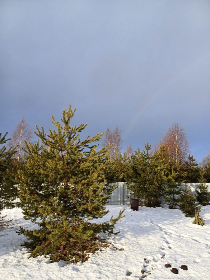 Над Тверской областью в Новый год показалась радуга