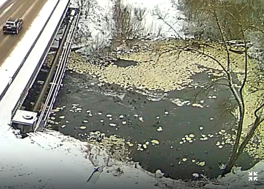 Река в Тверской области покрылась странными лепешками