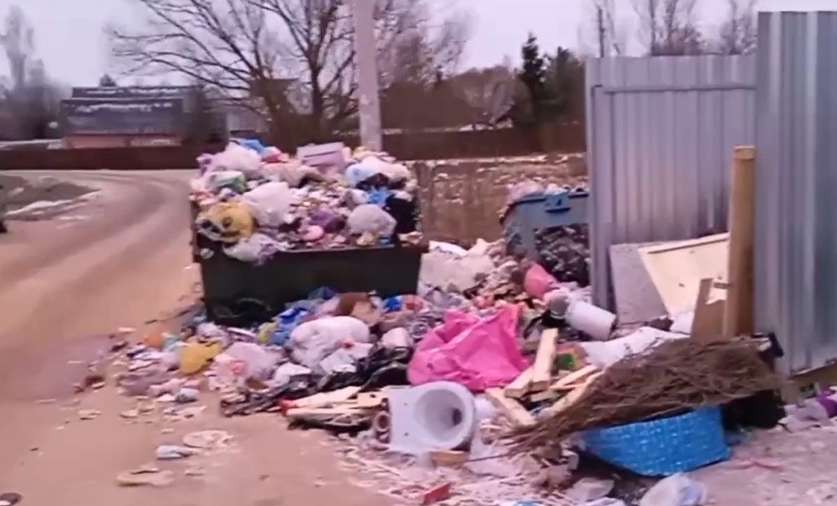 В Тверской области в заповедной зоне с Нового года не убирают мусор