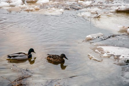 Жителям Тверской области рассказали, каких "сюрпризов" ждать от погоды