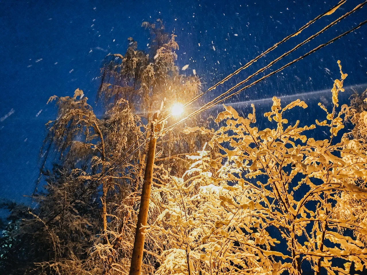 30 января многие дома в Твери останутся без электричества