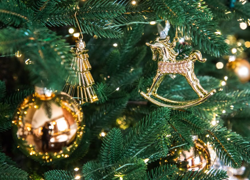 На уборку елки у жителей Тверской области осталось 2 дня