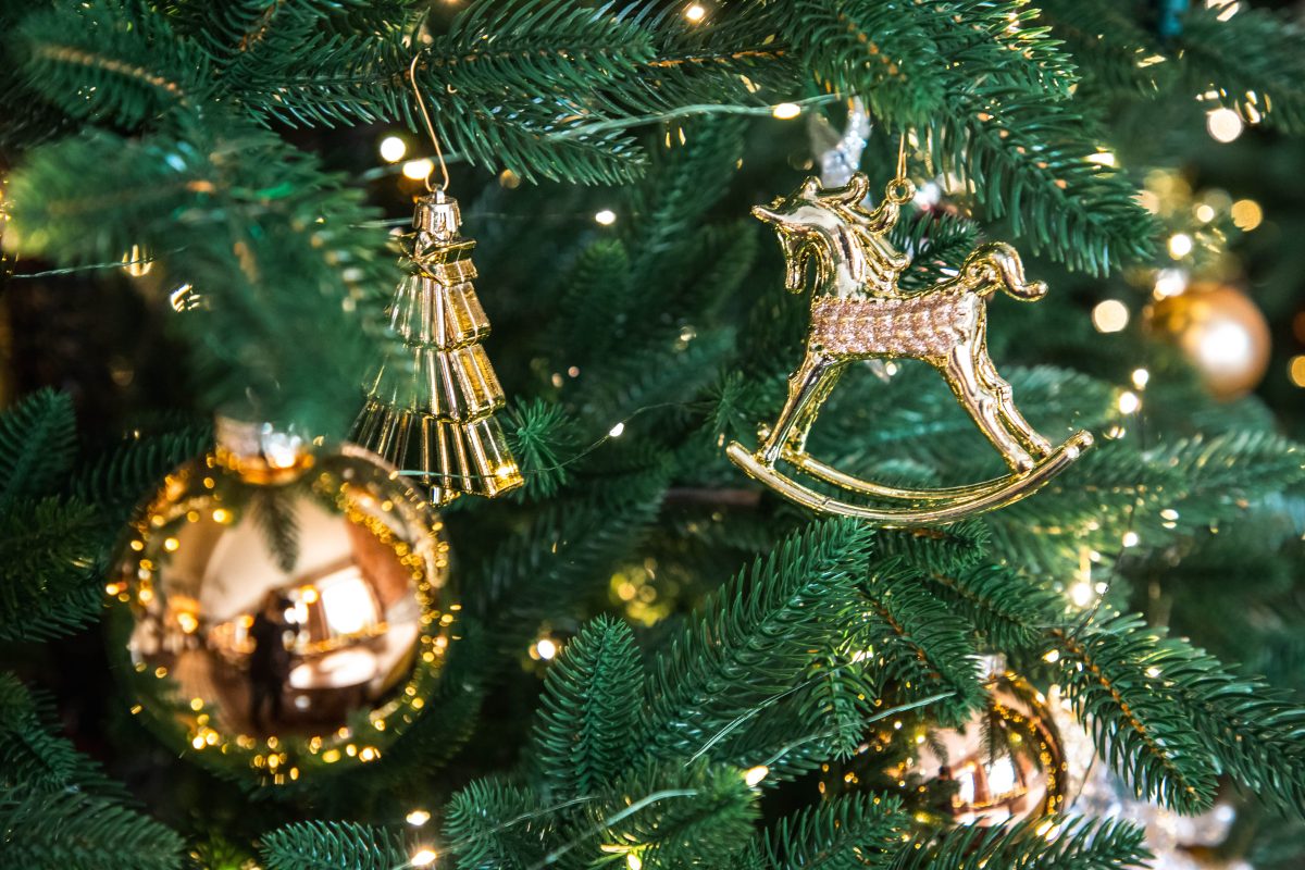 На уборку елки у жителей Тверской области осталось 2 дня