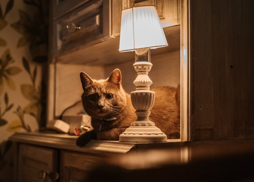 16 января жители Твери надолго останутся без света