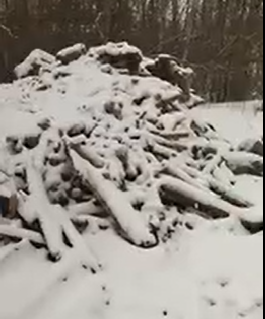 Жители Тверской области устроили посреди города несанкционированную свалку Жители Тверской области устроили посреди города несанкционированную свалку