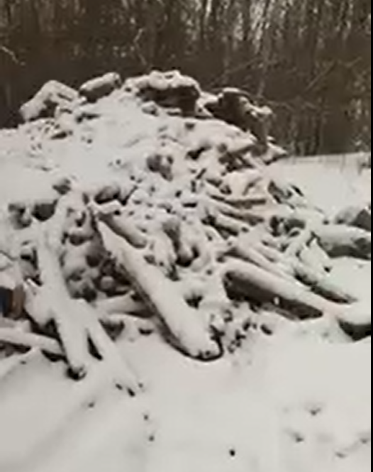 Жители Тверской области устроили посреди города несанкционированную свалку