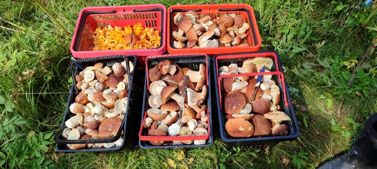 13 января жители Тверской области узнали, какими будут весна и лето