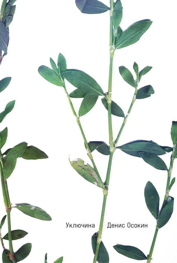 Читатель Толстов: магия, жабы и книга про поэтов