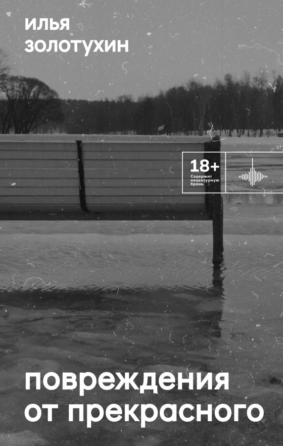 Читатель Толстов: магия, жабы и книга про поэтов