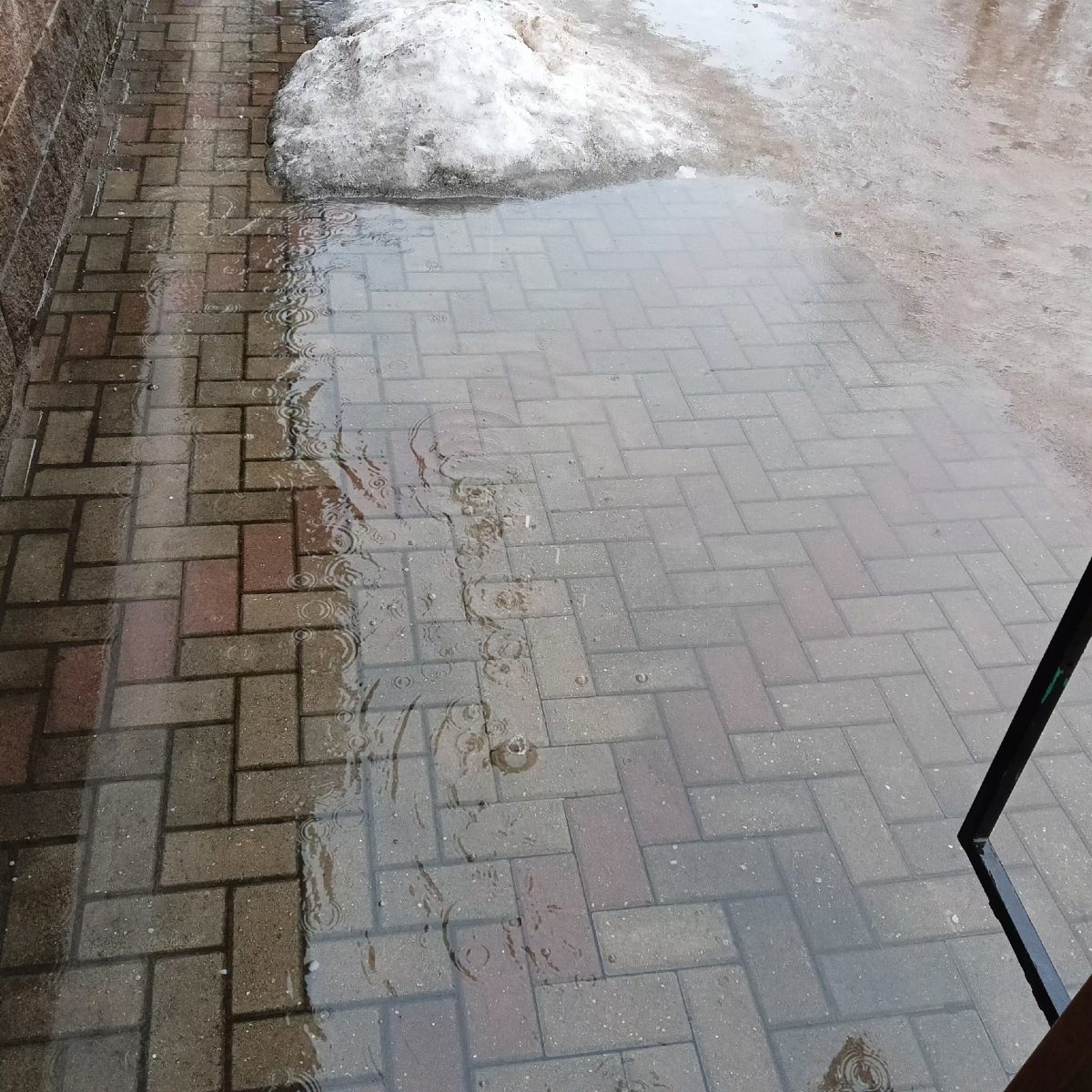 Жители Тверской области добираются вплавь до автобусной остановки