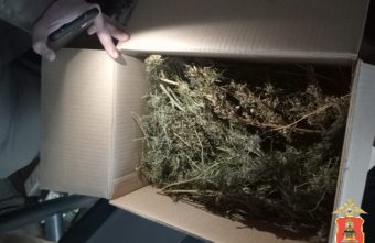 Больше 3 килограммов марихуаны нашли в доме у жителя Тверской области Больше 3 килограммов марихуаны нашли в доме у жителя Тверской области