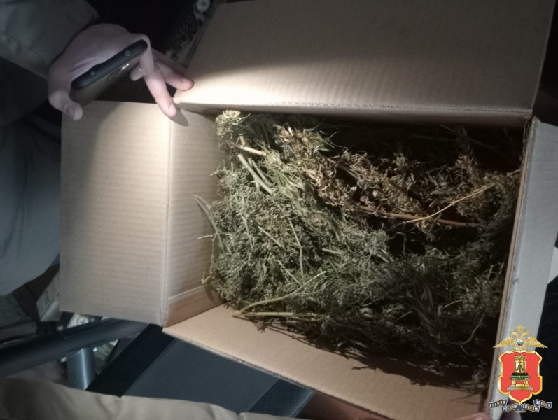 Больше 3 килограммов марихуаны нашли в доме у жителя Тверской области Больше 3 килограммов марихуаны нашли в доме у жителя Тверской области