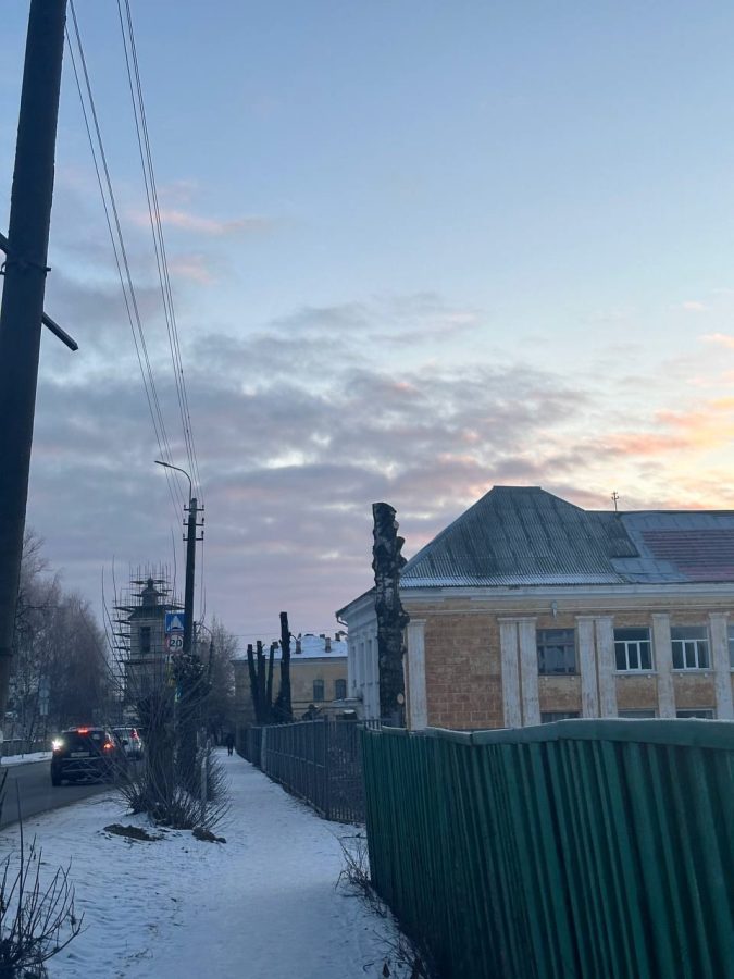Жители Тверской области в шоке от обработки городских деревьев