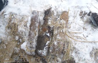 На окраине города в Тверской области нашли три артиллерийских снаряда времён войны На окраине города в Тверской области нашли три артиллерийских снаряда времён войны