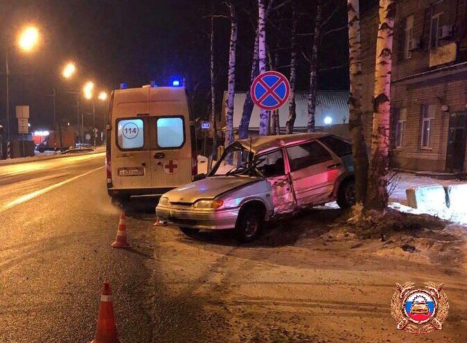 В Тверской области автомобиль влетел в дерево