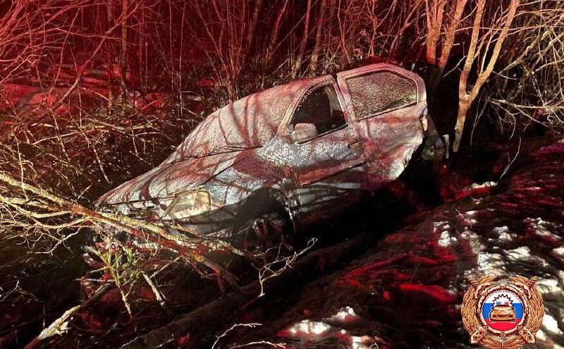 В Тверской области автомобиль съехал в кювет