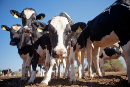 Сельхозтоваропроизводители Тверской области получат региональную поддержку в 2025 году Сельхозтоваропроизводители Тверской области получат региональную поддержку в 2025 году