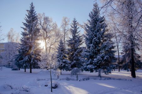 В Тверской области станет еще холоднее