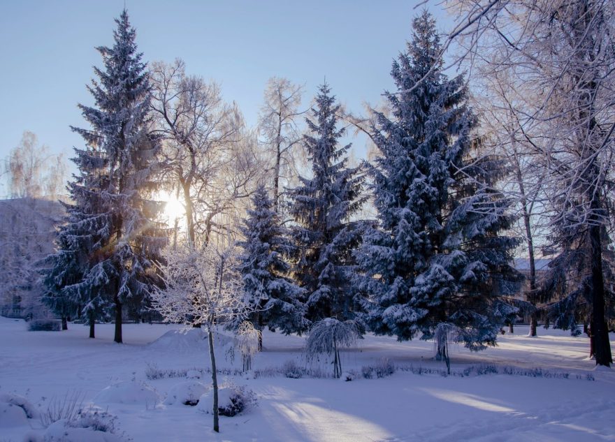 В Тверской области станет еще холоднее