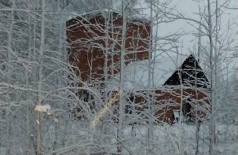 Огласка помогла спасти кота, просидевшего в заточении 4 дня