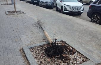 Тверские вандалы придумали себе новое хобби Тверские вандалы придумали себе новое хобби