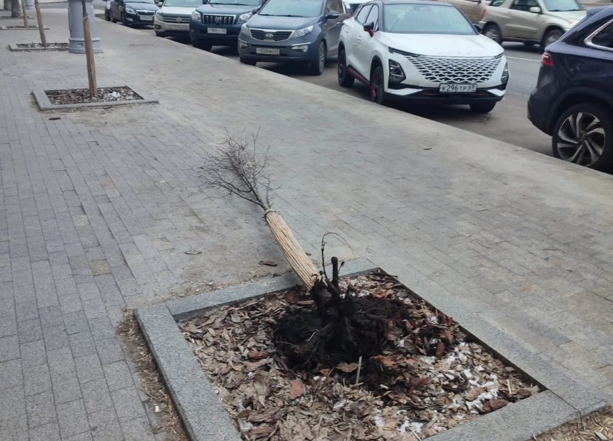 Тверские вандалы придумали себе новое хобби