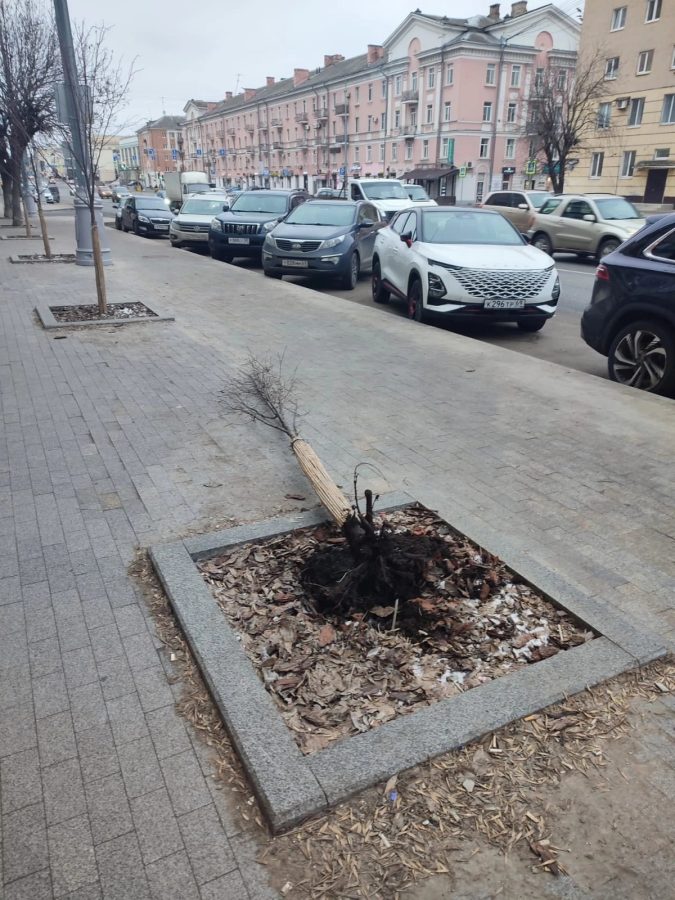 Тверские вандалы придумали себе новое хобби